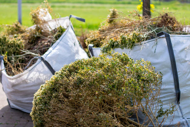 Best Professional Junk Removal  in Sheridan, WY