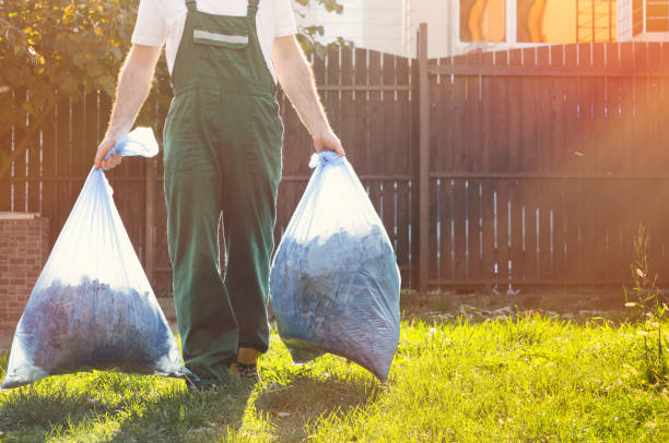 Attic Cleanout Services in Sheridan, WY